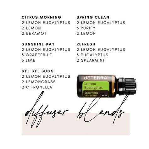 Doterra Eucalyptus Diffuser Blends, Lemon Eucalyptus Diffuser Blends, Lemon Eucalyptus Oil Uses, Eucalyptus Oil Blends, Doterra Lemon Eucalyptus, Eucalyptus Diffuser Blends, Lemon Diffuser Blends, Eucalyptus Oil Uses, Essential Oil Chart