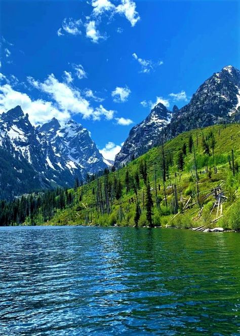 Jenny Lake Wyoming, Wyoming Landscape, Jenny Lake, Beautiful Landscape Photography, Wyoming, Beautiful Views, Beautiful Landscapes, Landscape Photography, Beautiful Places