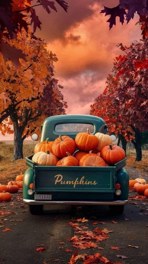 Summer To Fall Background, Fall Phone Widget Aesthetic, Autumn Aesthetic Cozy Wallpaper, Halloween Wallpaper Backgrounds Vintage, Fall Truck Wallpaper, Colorful Halloween Wallpaper, Vintage Fall Backgrounds Iphone, Fall Phone Backgrounds Wallpapers, Pumpkin Screensaver