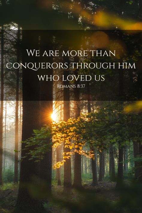 Wallpapers: Romans 8:37 Romans 8:16, Romans 8:37 Wallpaper, Exams Motivation, We Are More Than Conquerors, Mind Connection, More Than Conquerors, God Power, Bible Learning, Bible Wallpaper