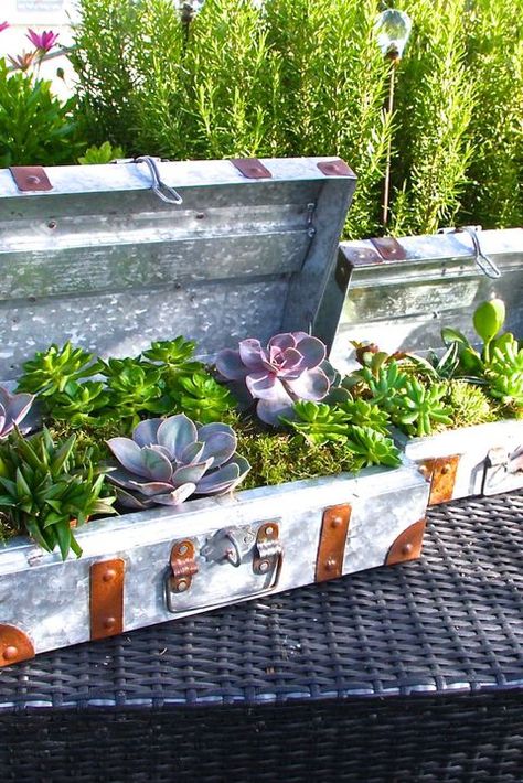 20 Unique Container Gardening Ideas - Creative Container Gardens Suitcase Garden, Gemüseanbau In Kübeln, Container Gardening Ideas, Container Herb Garden, Metal Planter Boxes, Recycled Wine Bottles, Container Gardening Flowers, Starting A Garden, Container Gardening Vegetables