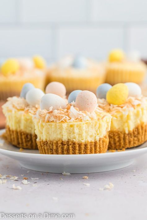 Mini Cheesecakes Easter, Mini Easter Cheesecake Recipes, Easter Cheesecake Mini, Mini Eggs Cheesecake Recipes, Easter Mini Cheesecakes, Easter Cheesecake Recipes, No Bake Mini Egg Cheesecake, Mini Cheesecakes Mini Eggs, Mini Egg Mini Cheesecakes