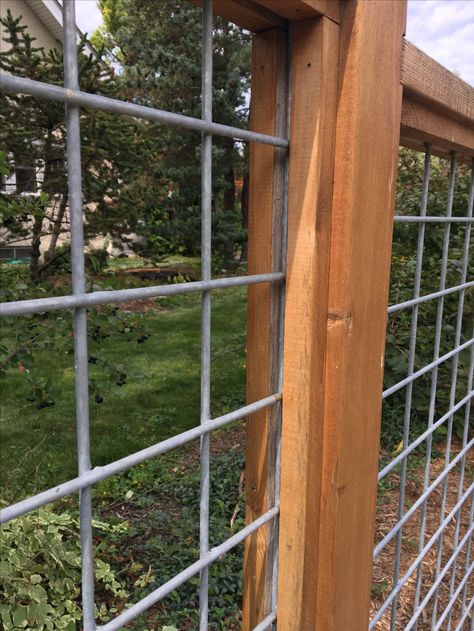 Wired Fence With Wood, Hogwire Fence Ideas, Hogwire Fence, Wood And Wire Fence Ideas, Hog Panel Fencing, Wire And Wood Fence, Diy Fence Ideas, Front Yard Design Ideas, Yard Design Ideas