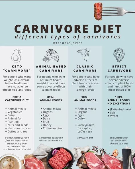 (1) Home / X 7 Day Carnivore Diet, Modified Carnivore Diet, Carnivore Diet Food List For Beginners, Carnivore Diet Rules, Carnivore Diet For Women, Carnivore Diet Plan Women, Carnavoir Diet Food List, Carnivore Diet On A Budget, Carnorvor Diet