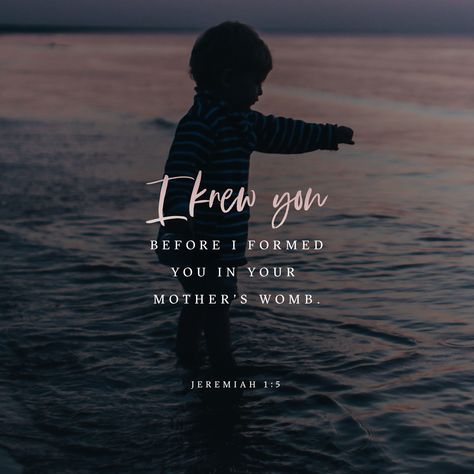 “I knew you before I formed you in your mother’s womb.” Jeremiah 1 5, Bon Ami, Jeremiah 1, Youversion Bible, Christian Verses, Ayat Alkitab, Bible Quote, Scripture Quotes, Verse Quotes