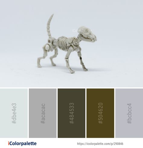 5 Skeleton Color Palette ideas in 2021 | iColorpalette Skeleton Color Palette, Color Palette Theme, Color Palette Ideas, Palette Ideas, Bone Color, Colour Palettes, Colour Schemes, Color Card, Colour Palette