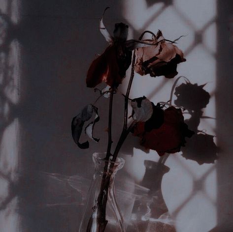 Beads Suncatcher, Wilted Rose, Dorian Grey, Wilted Flowers, Burning Rose, Dead Flowers, In His Arms, Crystal Hanging, Rosé Aesthetic