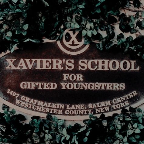 Xavier Institute Aesthetic, Krakoa Marvel Aesthetic, Xmen Mutant Aesthetic, Marvel Characters Aesthetic, Dc Universe Aesthetic, Xmen First Class Aesthetic, Mutant Aesthetic Marvel, X Men Oc Mutant, Rogue Aesthetic Xmen