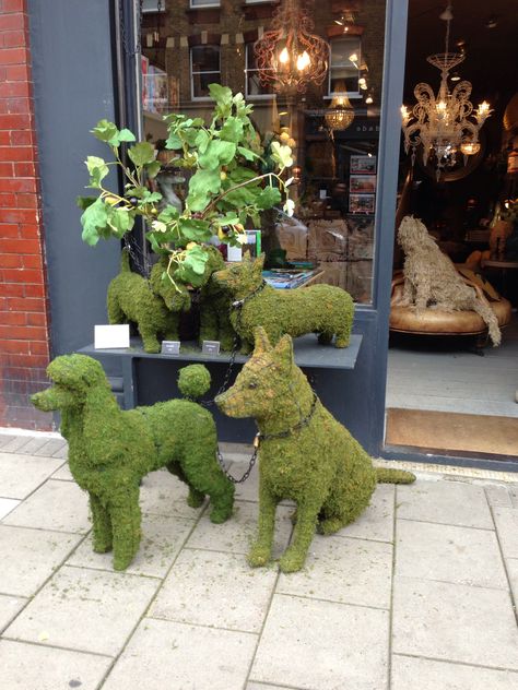 Topiary Dog Topiary, Pet Store Display, Dog Kennel Outside, Heather Gardens, Dog Spa, Grooming Shop, Pet Hotel, Dog Kennel Outdoor, Hand Painted Denim Jacket