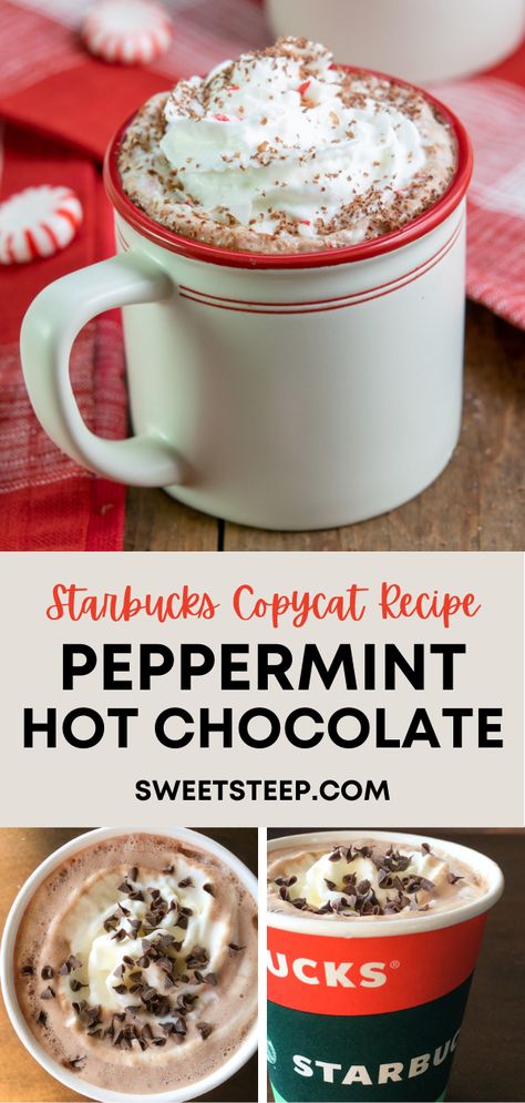 Hot Chocolate Recipes Peppermint, Peppermint Hot Cocoa Recipe, Peppermint Hot Cocoa Mix Recipe, Crockpot Peppermint Hot Chocolate, Starbucks Peppermint Hot Chocolate, Cocoa Recipes Powder, Steamer Drink Recipes, Pioneer Woman Hot Chocolate, Christmas Hot Chocolate Recipe