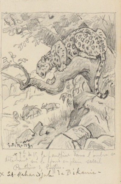 Jungle Animal Drawings, Pencil Art Drawings Animals, Big Cat Drawing, Exotic Drawing, Jaguar Drawing, Animal Composition, Leopard Illustration, Leopard Drawing, Big Cats Art