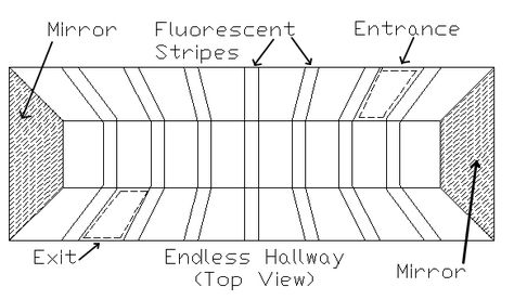 Endless Hallway Effect How To from http://www.hauntedillinois.com/h4.php Endless Hallway, Haunted Hallway, Haunted Trail Ideas, Maze Ideas, Haunted Props, Haunted Carnival, Haunted Maze, Haunted Woods, Halloween Maze