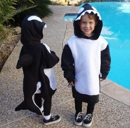 Orca Costume, Russell Up Costume, Diy Whale, Whale Costume, Sea Creature Costume, Homemade Halloween Costumes, Halloween Costume Contest, Creative Costumes, Homemade Halloween