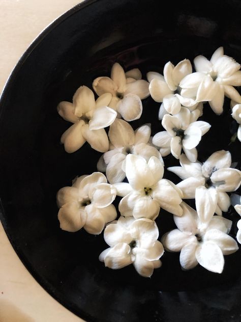 Something so small yet so powerful. A bowl full of Arabian Jasmine just from a single plant. Natural aromatherapy Arabian Jasmine Flower Aesthetic, Arabian Jasmine Tattoo, Arabian Jasmine Flower Tattoo, Domestic Sweetness, Jasmine Flower Aesthetic, Jasmine Aesthetic, Jasmine Tattoo, Arabian Jasmine, Gardening Tools Names