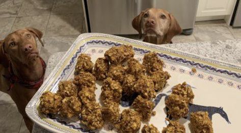 Since it’s officially fall, we’re sharing this awesome no-sugar DIY pumpkin pet treat recipe from SmartPak (no-sugar means they're okay for those metabolic, IR, and/or easy-keeping pets). These treats are great for your equine, canine, or human pals -- and they'll make your house smell amazing. Pumpkin Horse Treats, Proper Place Setting, Make Your House Smell Amazing, Pet Treats Recipes, Seasonal Baking, Pet Treat, Big Spoon, Oats Quaker, Kitchen Smells