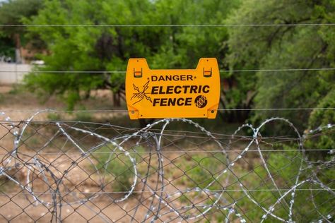 No matter the kind, fences are employed to keep trespassers or criminals out of private residences, public buildings, and high-security zones.  Protecting the home and essential assets is effective with an electric boundary security barrier. A typical electric fencing system is composed of five components: a grounded rod, live cables, posts containing insulators, and a connector. The installed live wires are situated on poles equally spaced apart. The charger is fixed in a dry location, linked t Electric Fence For Cattle, Different Types Of Fences, Electric Fence Energizer, Electric Fencing, Aluminum Fencing, Parking Solutions, Pallet Fence, Lattice Fence, Backyard Water Feature