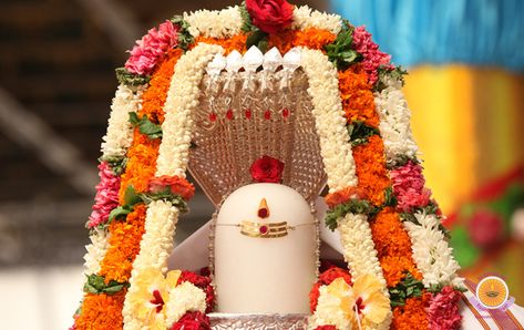 Karthika Masam Significance , Karthika Puranam Audios and More... Puja Ghar, Thick Forest, Maha Shivaratri, Rudra Shiva, Maha Shivratri, Ganapati Decoration, Shree Krishna Wallpapers, Lord Siva, Shiva Linga