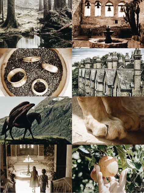 The Magician's Nephew - book aesthetic (ig: @oh_mybook) Narnia Magicians Nephew, The Magicians Nephew Aesthetic, Magicians Nephew Art, The Magicians Nephew Art, The Magician’s Nephew, Nephew Aesthetic, Narnia Characters, Mrs Coulter, Magician's Nephew