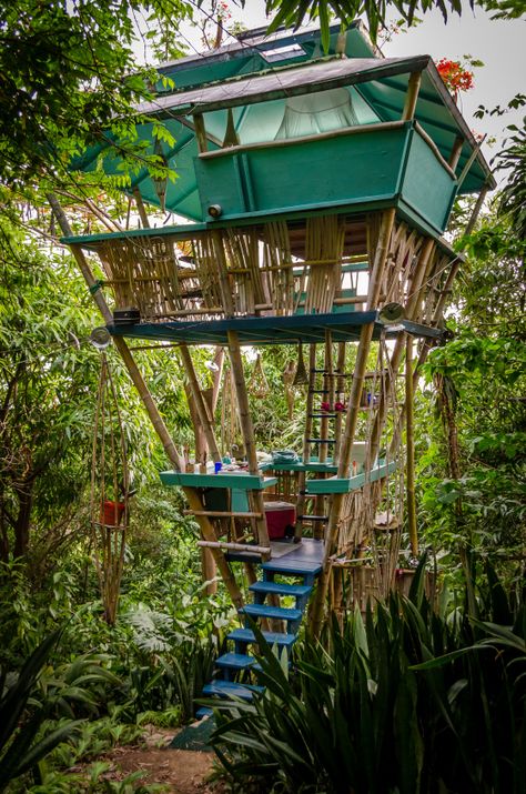 Bamboo Treehouse in Rincon, Puerto Rico #treehouse Bamboo Hut House, Bamboo Tree House, Bamboo Cottage, Bamboo Bungalow, Cottage House Design, Bamboo Hut, Rincon Puerto Rico, Luxury Tree Houses, Cottage House Designs