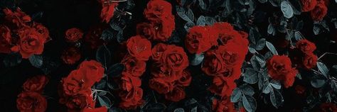 #visionboards #2024 #onelinequotes #aesthetics Red Roses Banner Discord, Rose Banner Aesthetic, Red Rose Header, Red Cover Photo Aesthetic, Vampire Banner Discord, Rose Banner Discord, Vampire Aesthetic Header, Vampire Aesthetic Banner, Vampire Twitter Header