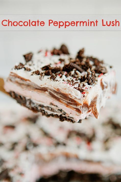 Creamy, delicious layers make this Chocolate Peppermint Lush the perfect no-bake, festive holiday dessert to enjoy with family and friends this season. via @cmpollak1 Peppermint Mocha Dessert, Peppermint Lush Dessert, Chocolate Peppermint Lasagna, Chocolate Peppermint Trifle, Pig Recipes, Lush Desserts, Lush Dessert, Festive Holiday Desserts, Lush Recipes