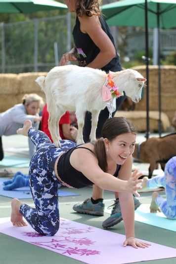 Goat Yoga, Private Yoga, Dog Yoga, Farm Fun, Farm Tour, Goat Farming, Baby Goats, Teen Birthday, Spring Baby