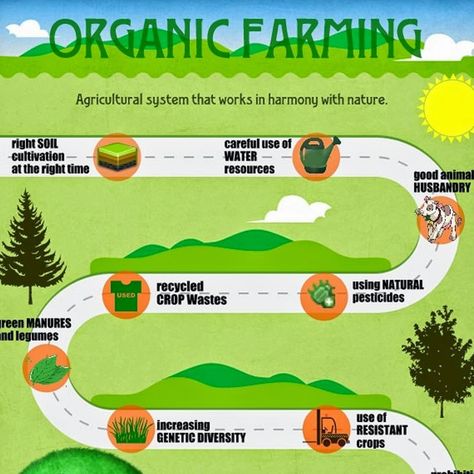 Organic Farming Poster, Farming Guide, Types Of Farming, Thermal Power Plant, Natural Pesticides, Organic Recipes Healthy, Farming Techniques, Crop Rotation, Water Resources