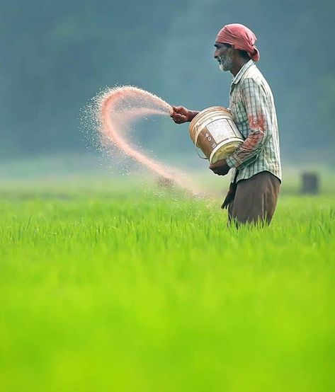 A day in the life of a farmer. Agriculture Pictures, Farmer Painting, Agriculture Photography, Agriculture Photos, Farmers Day, Blur Image Background, Beautiful Eyes Images, Farm Paintings, Farm Photography