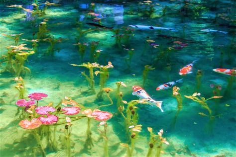 The Mystery Pond In Japan Looks Like Monet’s Paintings Monets Pond Japan, Dreamy Desktop Wallpaper Aesthetic, Fantasy Pond, Underwater Pond, Rare Aesthetics, Forest Backgrounds, Pond Art, Amino Themes, Pretty Water