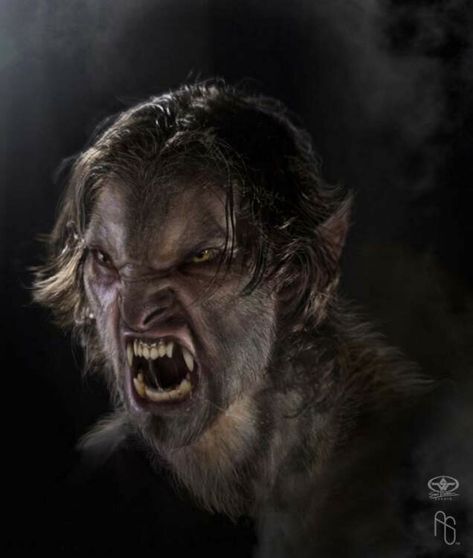 Werewolf Art, Vampires And Werewolves, World Of Darkness, Human Male, Classic Monsters, Creatures Of The Night, Anime Wolf, Creature Feature, Creature Concept