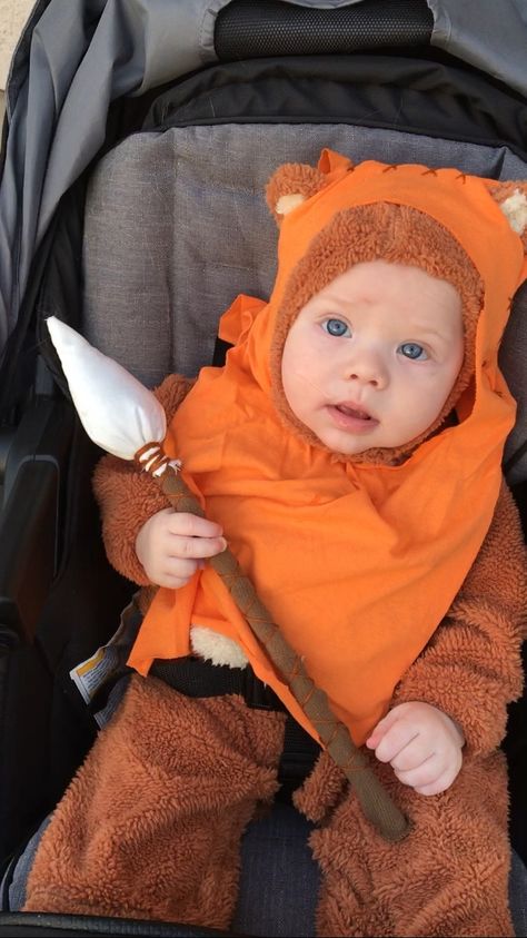 Baby Star Wars Costume, Baby Ewok, Baby Ewok Costume, Ewok Baby, Ewok Costume, Diy Baby Costumes, 1st Halloween, Star Wars Halloween, Fall Things