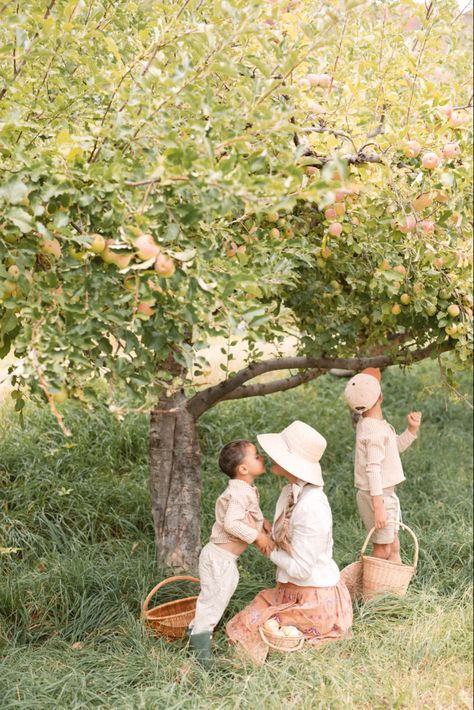 Berry Picking Photoshoot, Apple Picking Photoshoot, Apple Orchard Photoshoot, Apple Orchard Pictures, Apple Hill, Berry Picking, Family Shoot, Autumn Lights, Apple Orchard