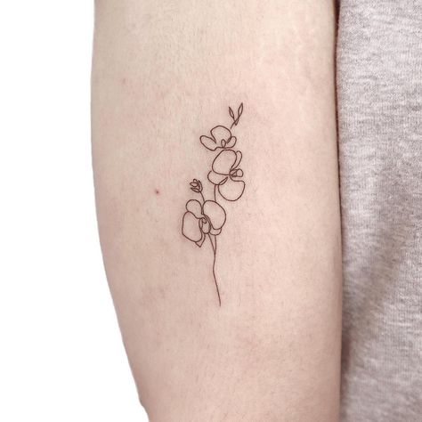 Orchid Simple Tattoo, Small Tattoos Orchid, Fine Line Orchid Tattoo Small, Delicate Orchid Tattoo, Orchid Tatoos Small, Orchid Flower Tattoos Small, Orchid Small Tattoo, One Line Orchid Tattoo, Mini Orchid Tattoo