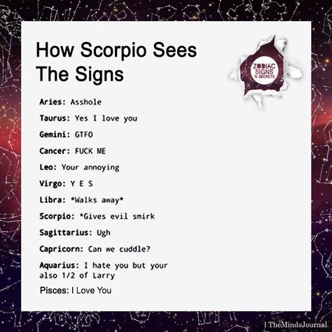 How Scorpio Sees The Signs - https://themindsjournal.com/how-scorpio-sees-the-signs/ How Libra Sees The Signs, Libra Funny, Libra Life, Aries And Libra, Scorpio Zodiac Facts, Libra Zodiac Facts, Astrology Libra, Zodiac Signs Scorpio, Scorpio Horoscope