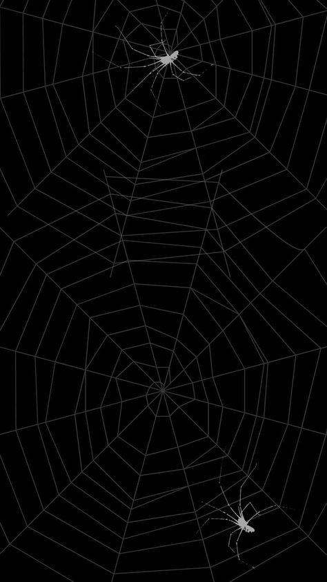 Black And White Spider Web Wallpaper, Y2k Spider Wallpaper, Halloween Wallpaper Spider Webs, Spiderman Wallpaper Dark Theme, Spiderweb Lockscreen, Dark Pattern Aesthetic, Spiderman Wallpaper Black And White, Spiderweb Wallpaper Aesthetic, Black Spiderweb Wallpaper