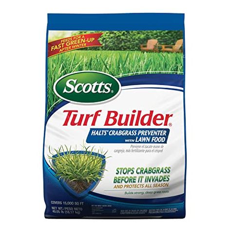 Centipede Grass, Grass Types, Lawn Food, Bermuda Grass, Weeds In Lawn, Lawn Fertilizer, Grass Type, Food Covers, Grass Seed