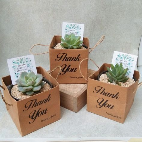 Plant Souvenir, Plant Wedding Favors, Kaktus Dan Sukulen, Succulent Wedding Favors, Flower Gift Ideas, Succulent Gifts, Seni Origami, Wedding Gifts For Guests, Wedding Souvenirs