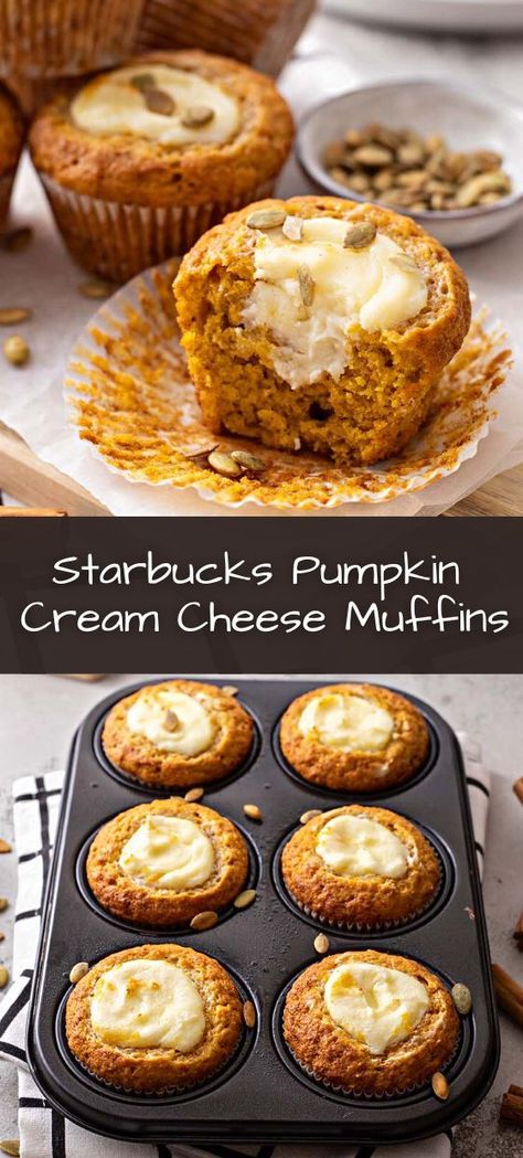 are you craving a Starbucks mufin but too lazy to go out ? well don't worry here is a great, delicious, quick and easy recipe for you , you'll love these muffins , don't forget to follow us for more Cake Like Muffins, Pumpkin Muffins Starbucks Copycat, Starbucks Copycat Muffins, Pumpkin Carmelicious Muffins, Healthy Pumpkin Muffins With Cream Cheese, The Best Pumpkin Muffins Ever, Pumpkins Cream Cheese Muffins, Fall Pumpkin Muffins, Pumpkin Cream Cheese Muffin Recipes