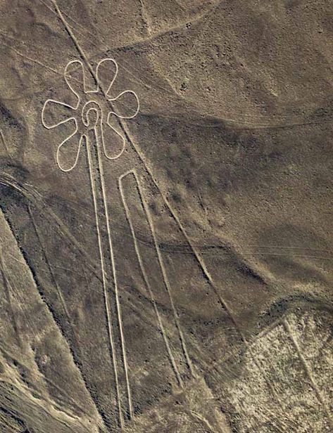 Nazca Lines Peru, Images To Paint, Nazca Lines, Ancient Astronaut, Solar Eclipses, Line Flower, Pottery Planters, Lost City, Line Tattoos