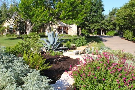 Loving my lush Central Texas garden | Diana's Designs Austin Xeriscaping Texas, Central Texas Garden, Salvia Greggii, Autumn Sage, Texas Landscaping, Texas Native Plants, Texas Garden, Natural Landscaping, Texas Gardening