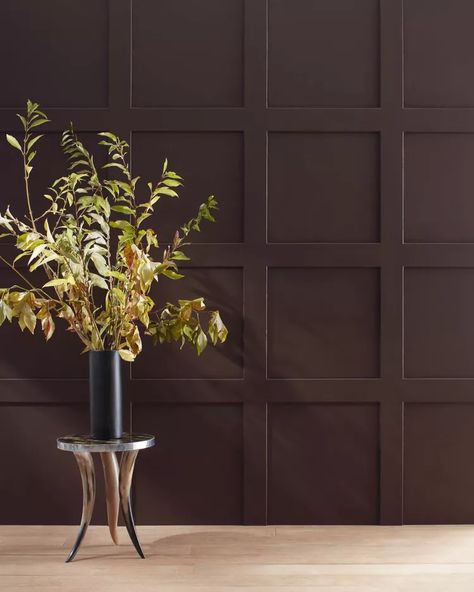 Coffee Paint Colors Are the Newest Neutrals, According to Designers Benjamin Moore French Press, Coffee Paint Colors, Chocolate Brown Paint, Coffee Paint, French Truffles, Paint Names, Brown Paint Colors, Neutral Paint Color, Entertaining Gifts