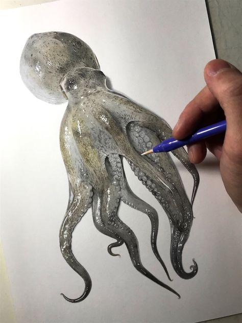 Illustrator Shares His Process to Create a Realistic Drawing of a Octopus Hyperrealistic Drawing, Octopus Drawing, Octopus Illustration, Cartoon Artist, Realistic Drawing, Octopus Art, Drawing Process, White Acrylic Paint, Painting Lessons