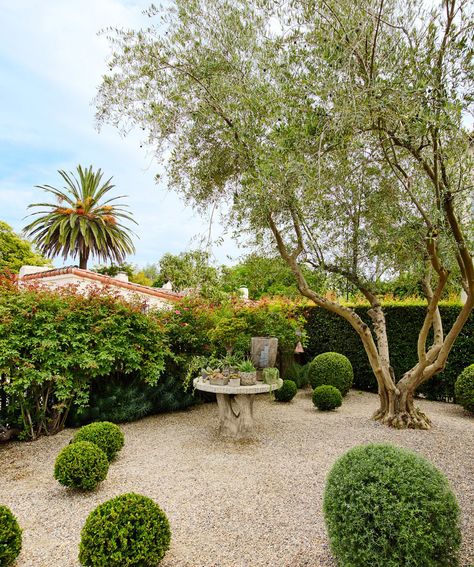 Interiors – Santa Barbara – Casa Caserio | Madeline Stuart Boxwood Landscaping, Madeline Stuart, Provence Garden, Front Yard Decor, Gravel Garden, Spanish Revival, Garden Living, Spanish Colonial, Backyard Design