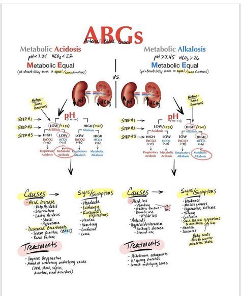 Respiratory Therapy Notes, Respiratory Therapy Student, Simple Nursing, Paramedic School, Metabolic Acidosis, Nursing School Essential, Nursing Study Guide, Medical School Life, Nursing School Motivation