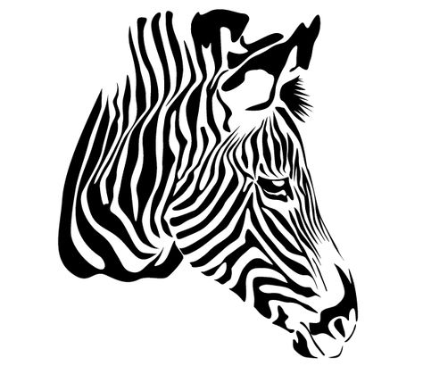 Zebra Head Vector Free Zebra Vector, Zebra Drawing, Zebra Illustration, Purple Zebra, Photo Deco, Zebra Design, Free Vector Illustration, Silhouette Stencil, Logo Art