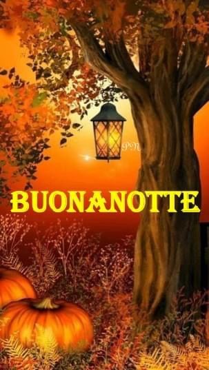 Zucche, bosco, autunno, buonanotte, halloween Halloween