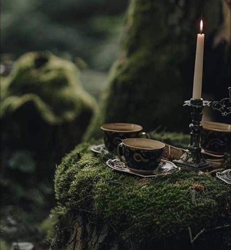 Pagan Aesthetic Nature, Forest Fae Aesthetic, Green Witch Aesthetic, Dark Cottagecore Aesthetic, Fae Aesthetic, Witchy Cottagecore, Green Academia, Nature Witch, Dark Fairycore