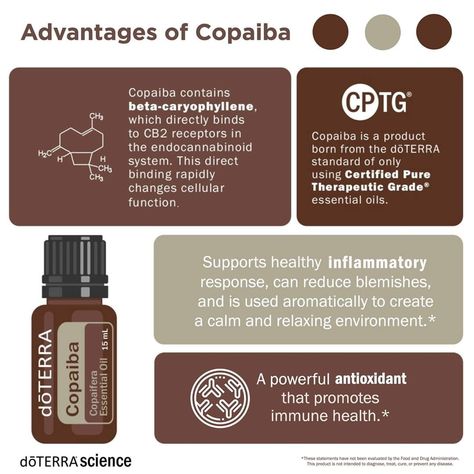 Doterra Copaiba, Copaiba Oil, Essential Oils Video, Copaiba Essential Oil, Essential Oil Safety, Essential Oil Companies, What Are Essential Oils, Endocannabinoid System, Doterra Wellness Advocate