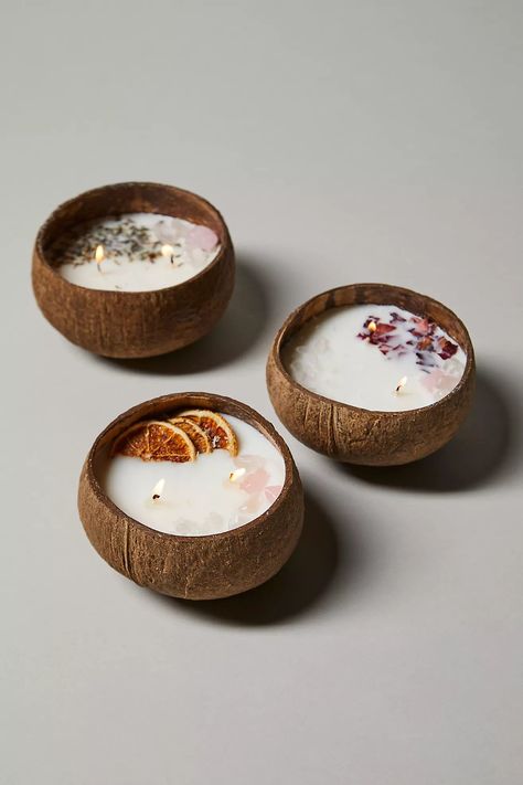 Coconut Bowls Botanical Candle Diy Coconut Candle, Candles Aesthetic Cozy, Coconut Candles, Bowl Candles, Botanical Candle, Candle Bowl, Diy Coconut, 2023 Accessories, Coconut Bowls