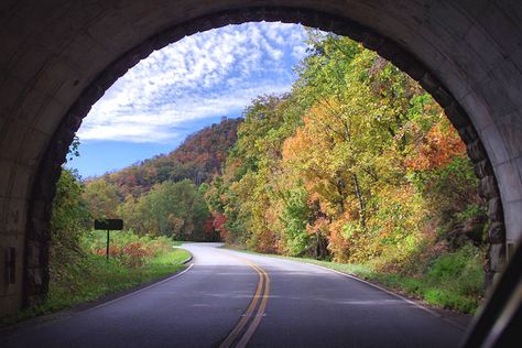 Blue Ridge Parkway Asheville, Pisgah National Forest, Nc Mountains, North Carolina Mountains, Scenic Byway, Blue Ridge Parkway, Travel Outdoors, Blue Ridge Mountains, Scenic Drive